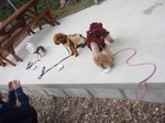 PC071291.JPG