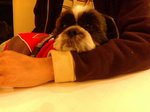 071230-13.jpg