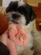 080303-4.jpg