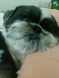 090112-3.jpg