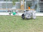 P4010324-1.jpg